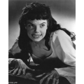 Brides of Dracula Photo